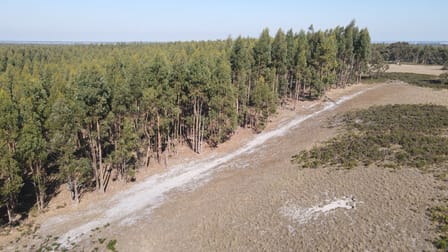 Section 386 Black Range Road Lucindale SA 5272 - Image 3
