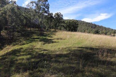 Lot 81/7986 Kempsey Rd Lower Creek NSW 2440 - Image 3