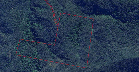 Lot 34 Top Swanfels Road Swanfels QLD 4371 - Image 2
