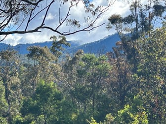 Lot 34 Top Swanfels Road Swanfels QLD 4371 - Image 1
