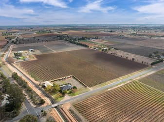 Lot 1 Euston Avenue Irymple VIC 3498 - Image 3