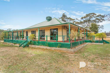 Emu VIC 3475 - Image 2