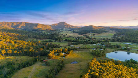 305 Biddaddaba Creek Road Biddaddaba QLD 4275 - Image 1