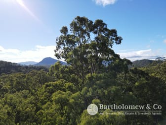 Wilson Road Clumber QLD 4309 - Image 1