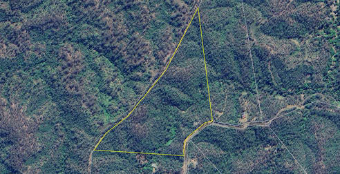 157 Tessellaris Trail Takilberan QLD 4671 - Image 1