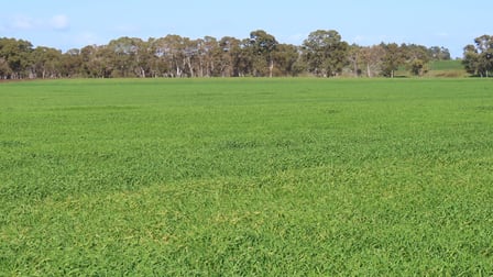 Lot 91 Old Caves Road Mount Light SA 5271 - Image 1