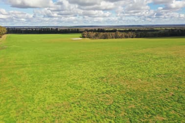 977 & 1053 Bokerup Road Frankland River WA 6396 - Image 1