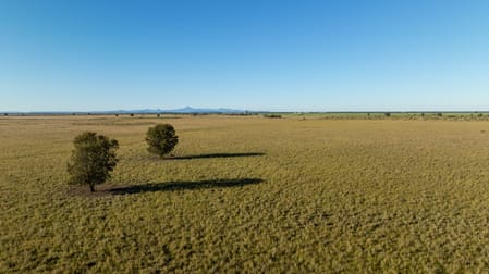 "Ningle" 19227 Newell Highway Moree NSW 2400 - Image 3