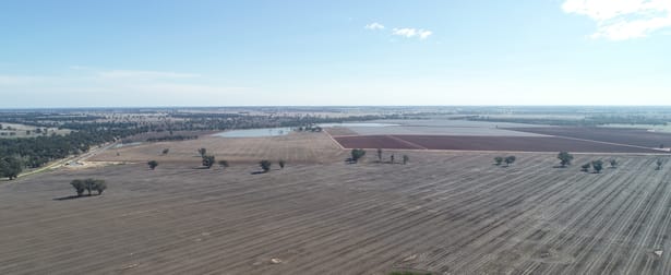 570 Dulla Dulla Road Narromine NSW 2821 - Image 3