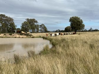 Lot 1 & 3 Kampfs Road Goombungee QLD 4354 - Image 1