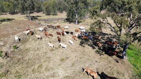 Lot 1 & 3 Kampfs Road Goombungee QLD 4354 - Image 2