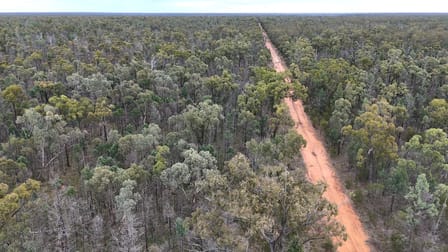 Lots 1 & N Yagaburne-Boondandilla Road Boondandilla QLD 4406 - Image 2