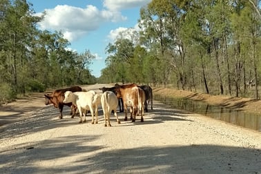 Lots 1 & N Yagaburne-Boondandilla Road Boondandilla QLD 4406 - Image 1
