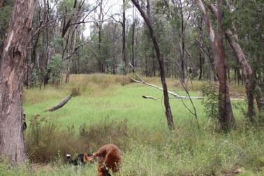 Lots 1 & N Yagaburne-Boondandilla Road Boondandilla QLD 4406 - Image 3
