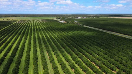 Meadowvale QLD 4670 - Image 2