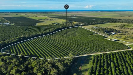 733 Gooburrum Road Welcome Creek QLD 4670 - Image 1