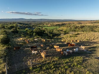 'trecaine' Derrymore (lot 3) Road Derrymore QLD 4352 - Image 1