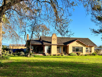 133 Soundrys Road Elingamite VIC 3266 - Image 2
