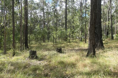 23/ Bellbird Road Drake NSW 2469 - Image 3