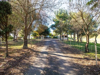 850 Mogilla Road Candelo NSW 2550 - Image 3