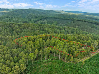 30 Carlisle Valley Road Carlisle River VIC 3239 - Image 1