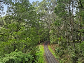 30 Carlisle Valley Road Carlisle River VIC 3239 - Image 2