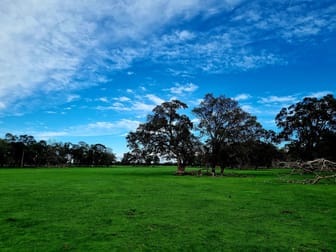 Lot 808 Mayfield Road Waroona WA 6215 - Image 3