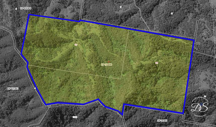 129 Quartpot Creek Road Dungog NSW 2420 - Image 2