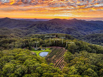 133A Middle Ridge Road Upper Main Arm NSW 2482 - Image 1
