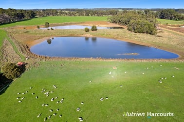 39 Noskin Road Timboon VIC 3268 - Image 3