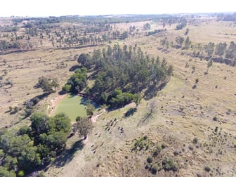 1377 Dangore Mountain Road Dangore QLD 4610 - Image 1