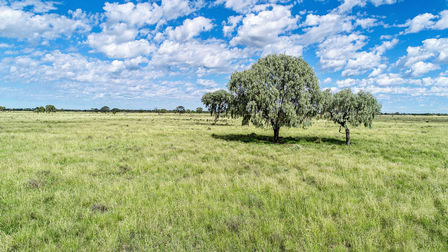 Coonamble NSW 2829 - Image 2