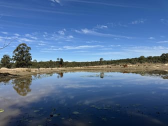 25731 Burnett Highway Cynthia QLD 4627 - Image 3
