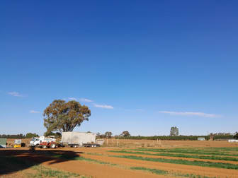 Woorinen North VIC 3589 - Image 1