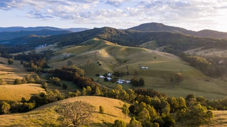 3334 Allyn River Road Upper Allyn NSW 2311 - Image 1