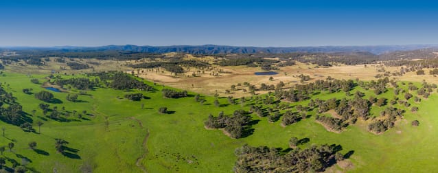 161 Hickeys Road Armidale NSW 2350 - Image 1