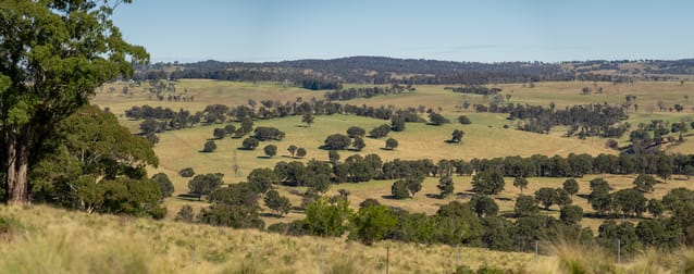 338 Fishington Road Wongwibinda NSW 2350 - Image 1