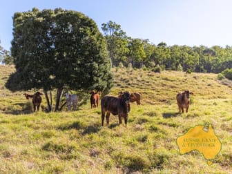 275 Nantglyn Road Mundubbera QLD 4626 - Image 1