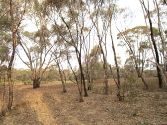 Lot 1 Benbow Road St Arnaud VIC 3478 - Image 3