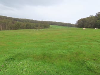 2931 Ryall Road Newlands WA 6251 - Image 3