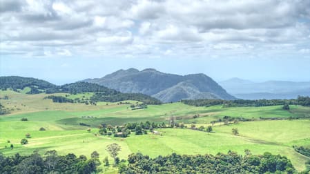 Dorrigo NSW 2453 - Image 2