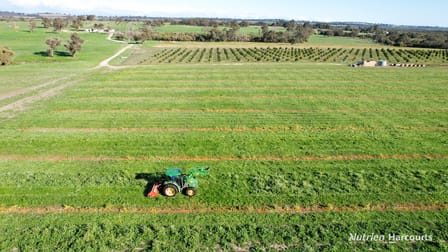 1770 Beermullah Road West Gingin WA 6503 - Image 2