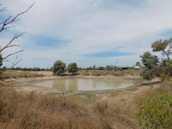 132 - 137 Roaches Road Tara QLD 4421 - Image 2