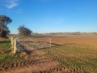 Woorinen-Vinifera Road Woorinen North VIC 3589 - Image 2