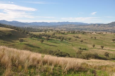 'Glenroy' Tyrone Rd, Bunnan via Scone NSW 2337 - Image 1