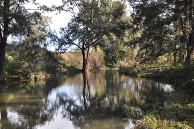 'Glenroy' Tyrone Rd, Bunnan via Scone NSW 2337 - Image 2