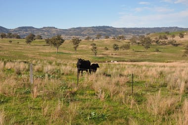 Click to view all images 'Glenroy' Tyrone Rd, Bunnan via Scone NSW 2337 - Image 3