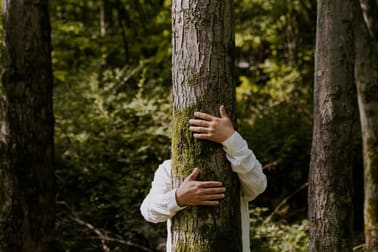 Gardening  business for sale in Brisbane City - Image 3