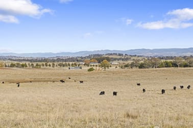 281 Patemans Lane Murrumbateman NSW 2582 - Image 1