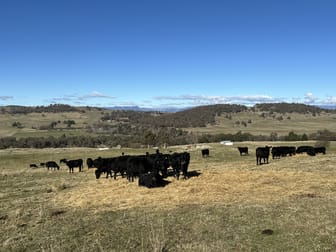 739 Tooma Road Tumbarumba NSW 2653 - Image 1